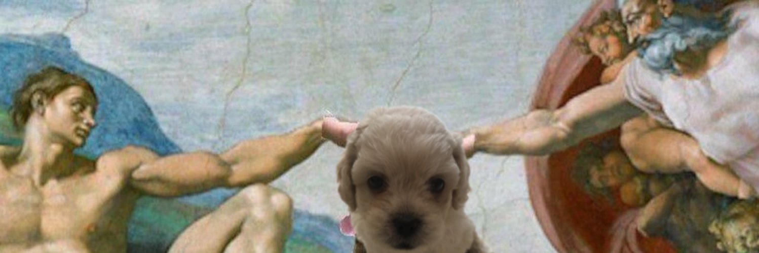 sanwillito's profile banner image