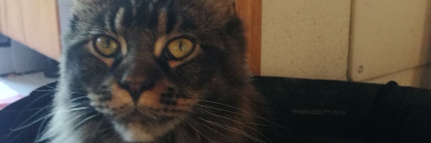 made_of_salt's profile banner image