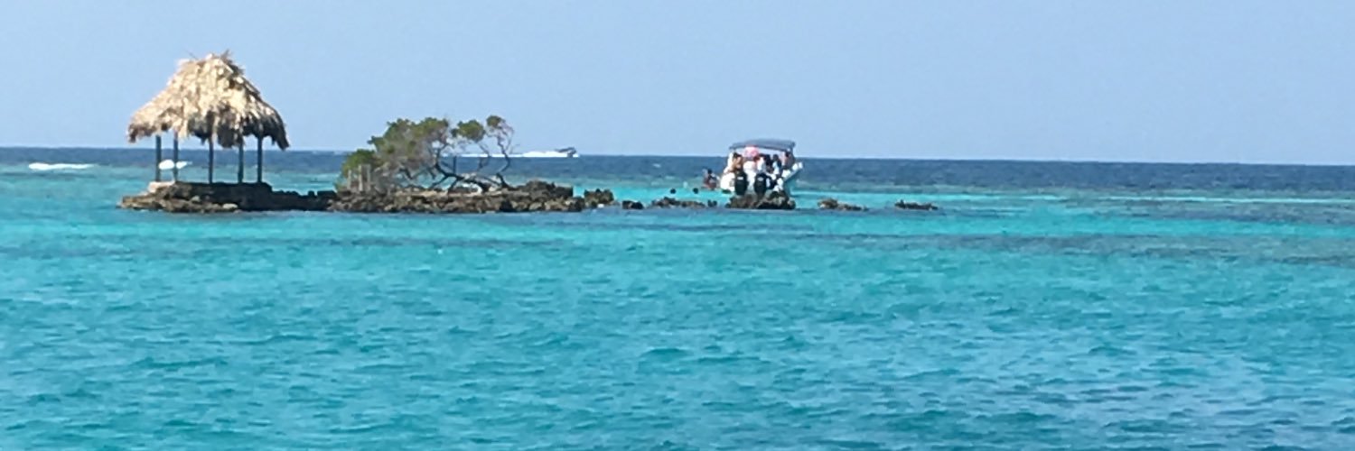 VDuqueG's profile banner image