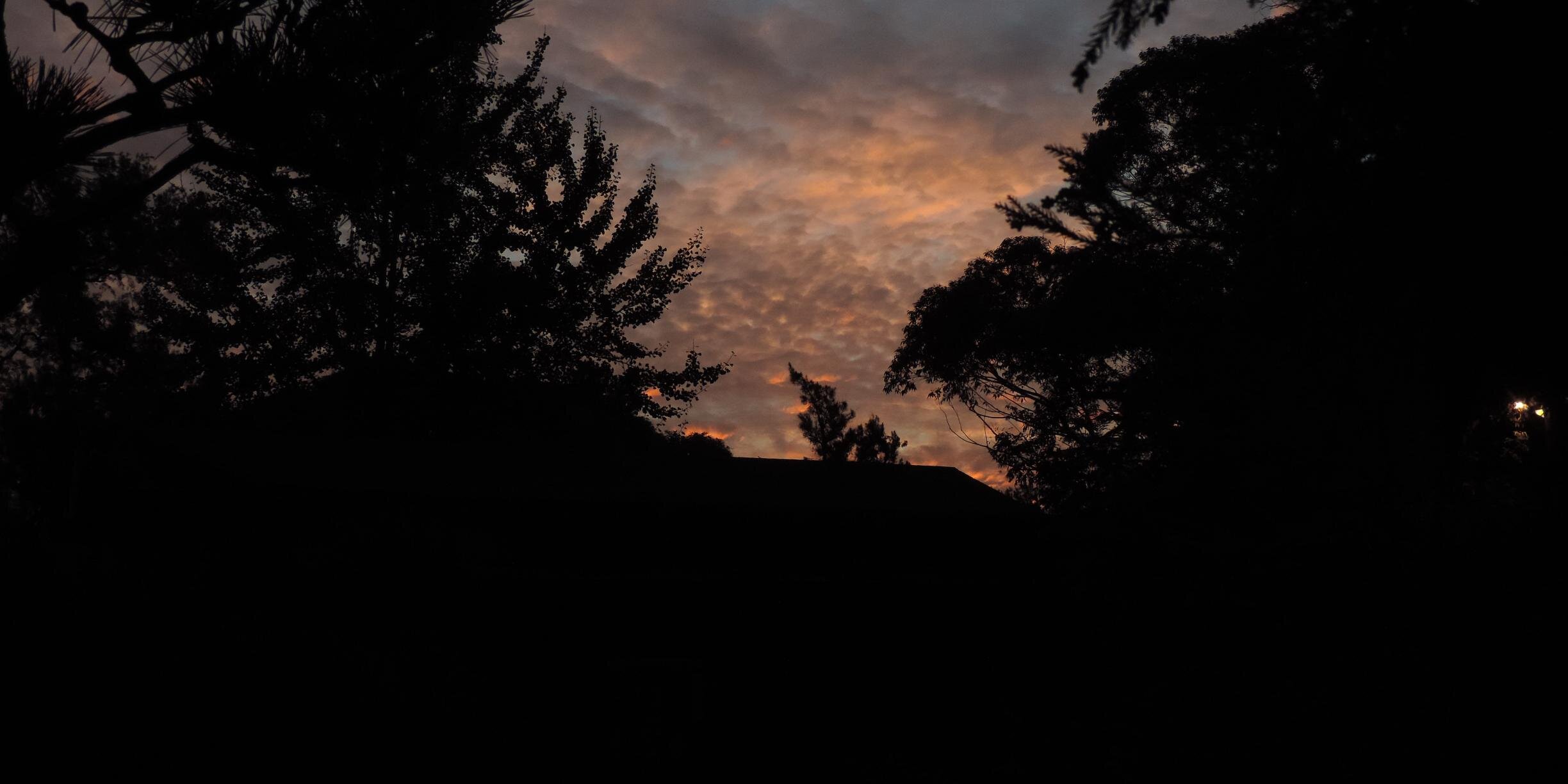 Aparato de Golgui banner