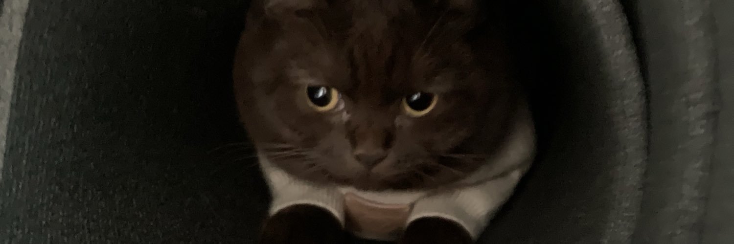 lea_roi's profile banner image
