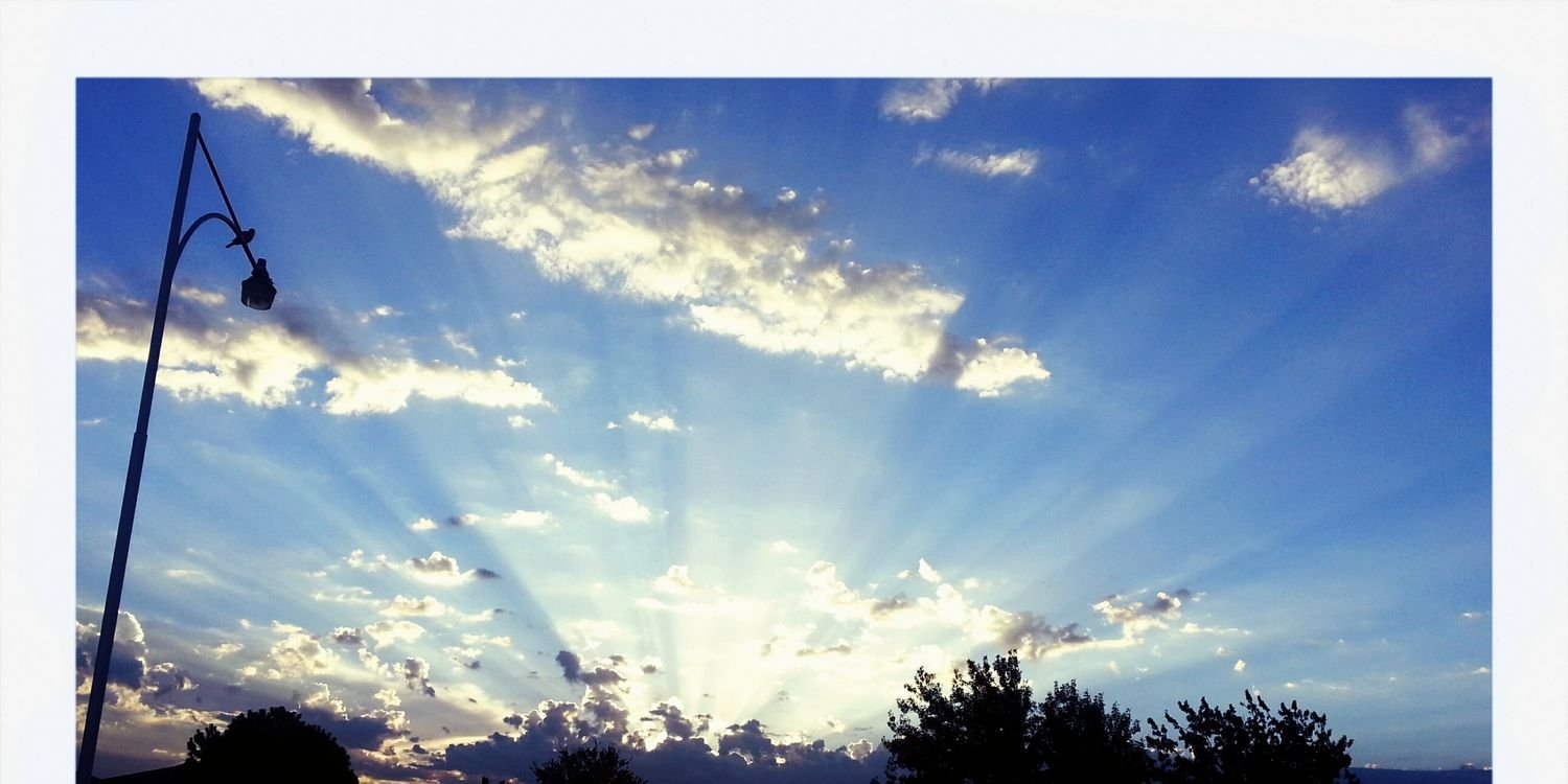 biranna_m's profile banner image