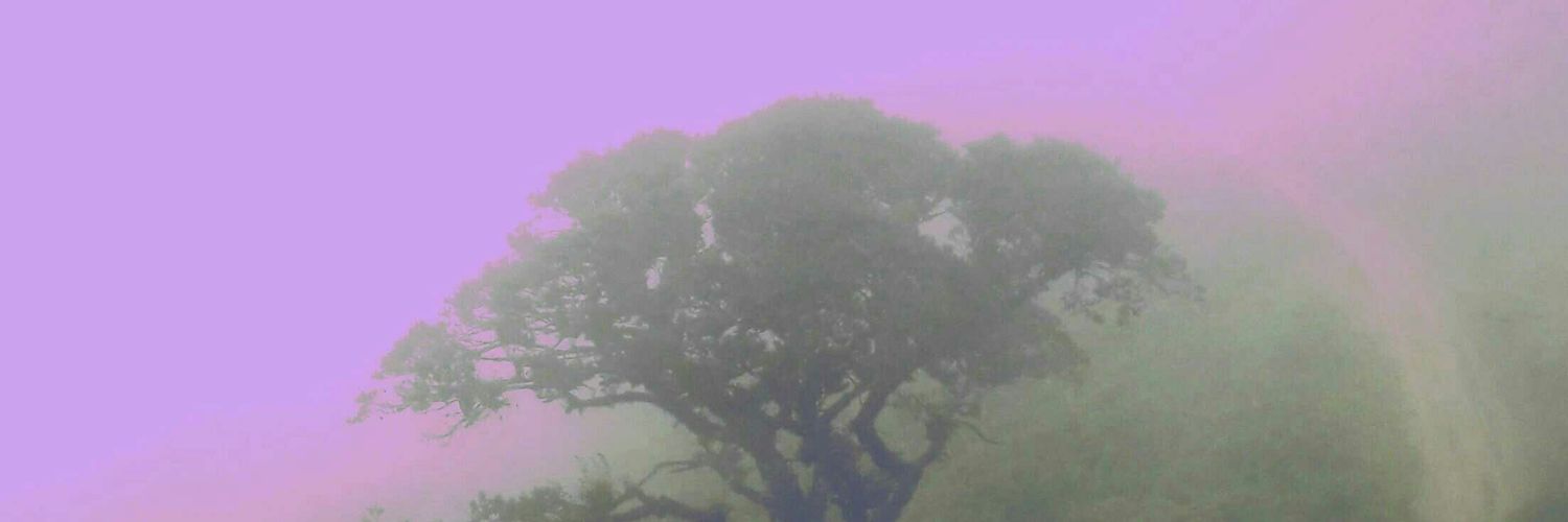 danignzlzs's profile banner image