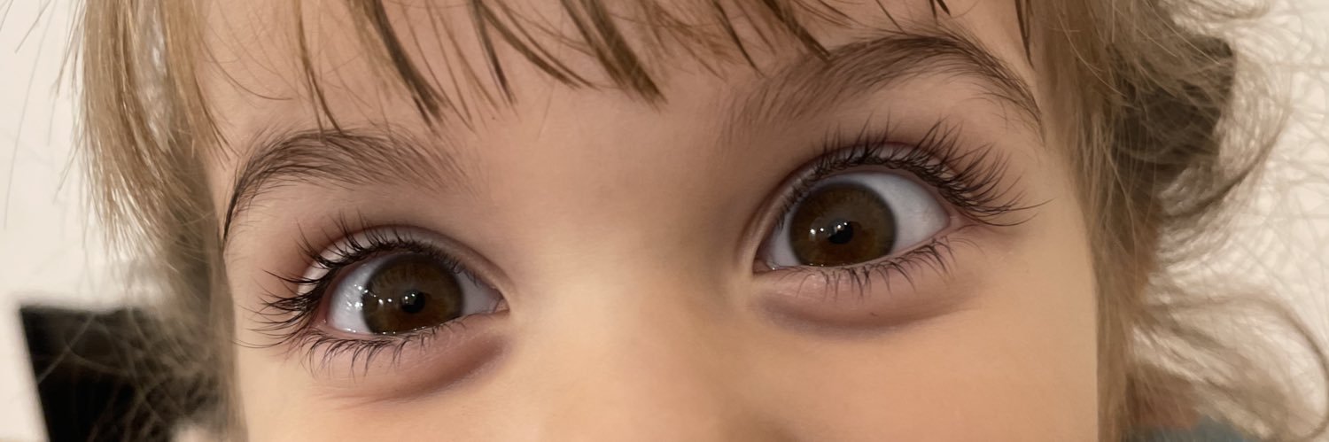 sofijalil2's profile banner image