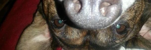 dsw8750's profile banner image