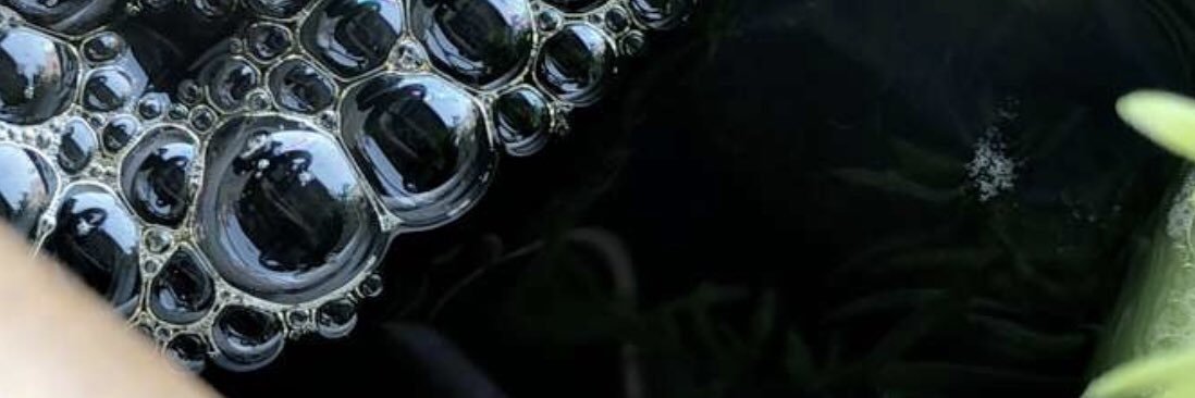 majedine's profile banner image