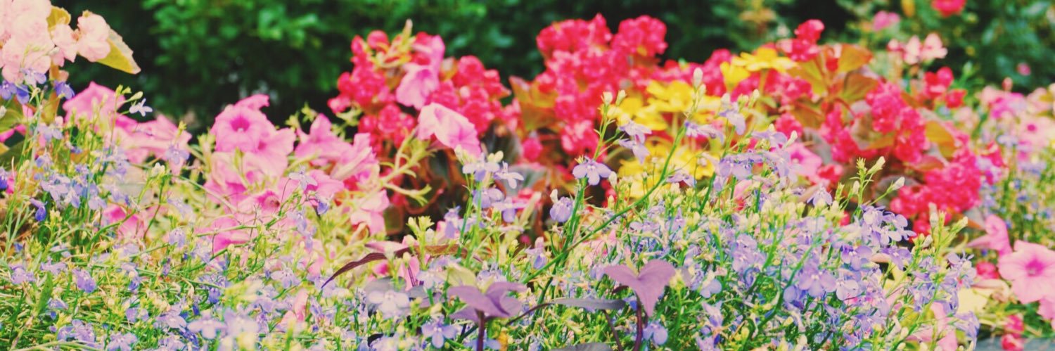 _ashlatiolais's profile banner image