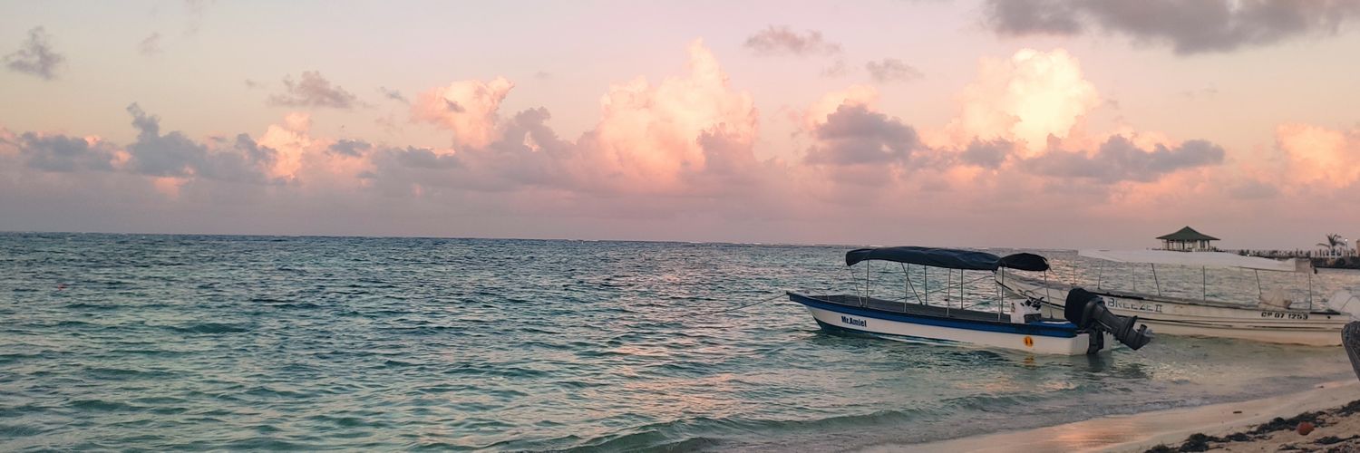 Sara_Orvi's profile banner image