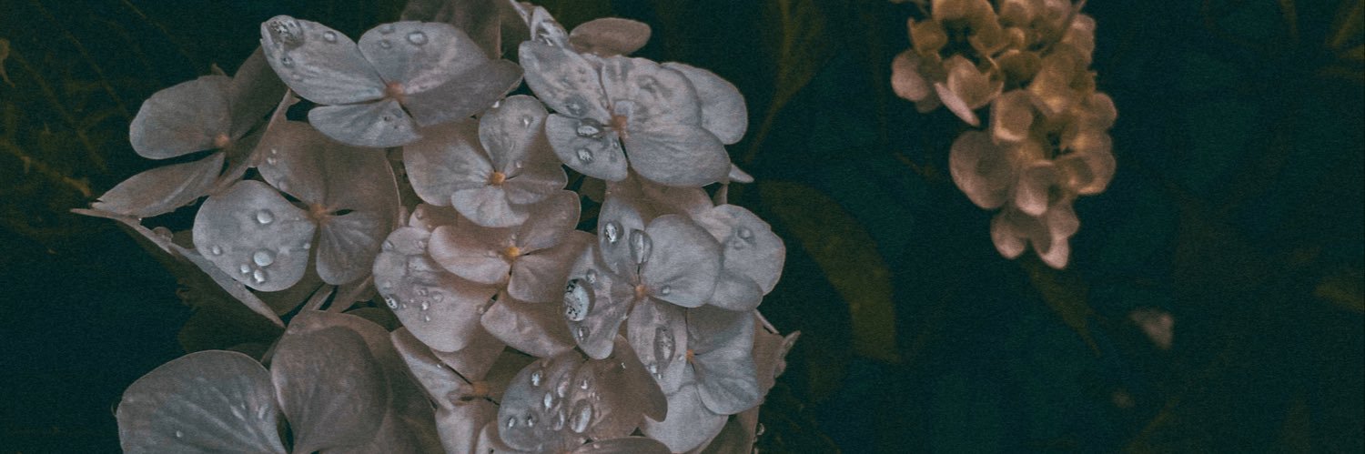 Pyritipat's profile banner image