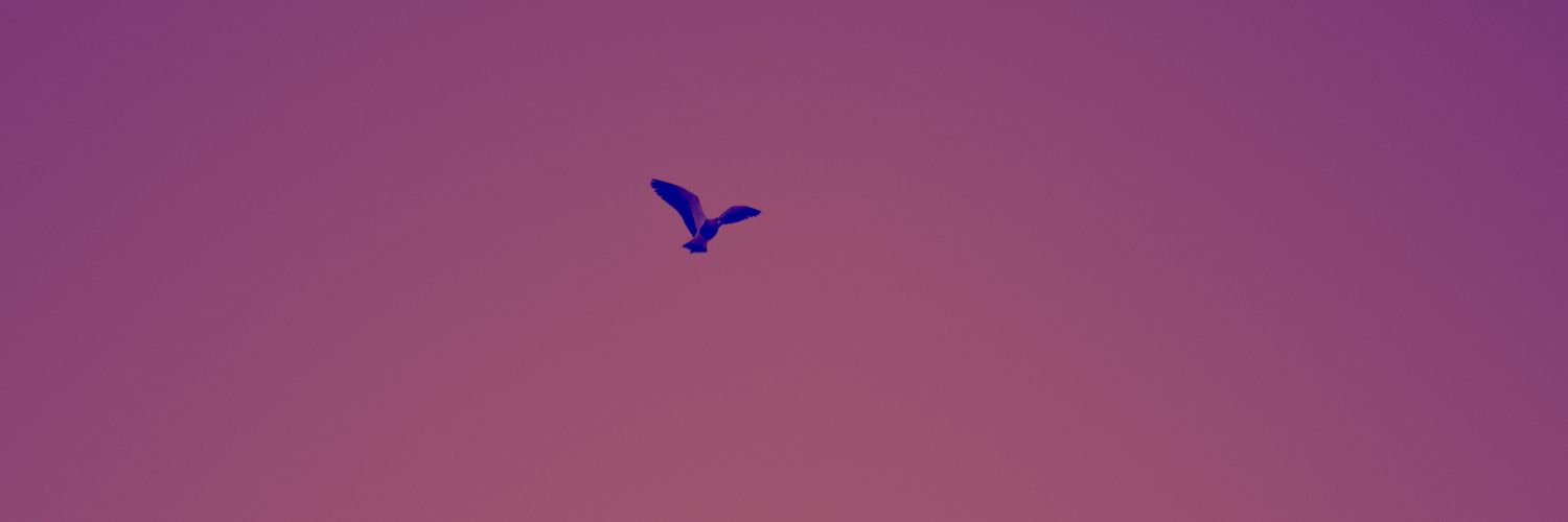 Estefani587's profile banner image