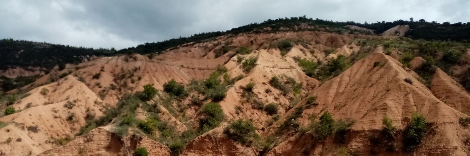 ebrickopl's profile banner image
