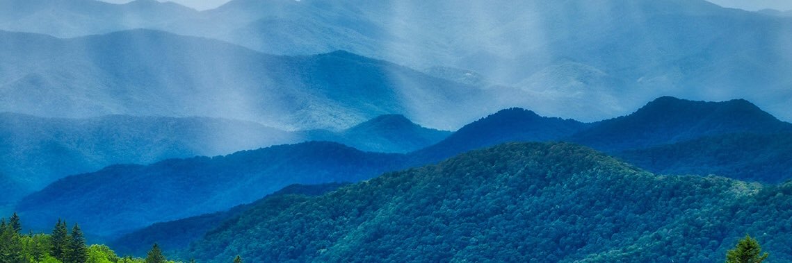 paradoxinette's profile banner image