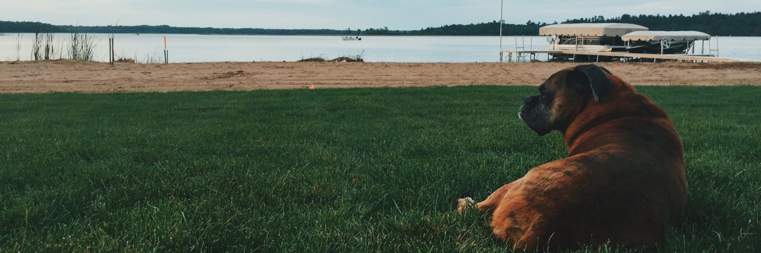 jen_niferv's profile banner image