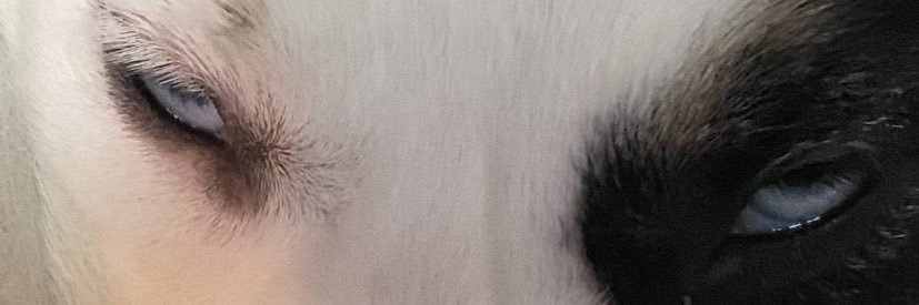 __marissaj__'s profile banner image