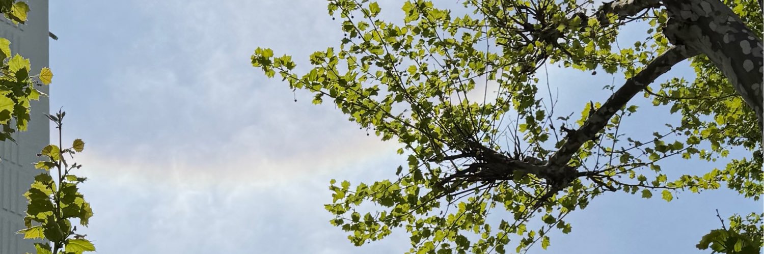 nbsdenjoyer's profile banner image