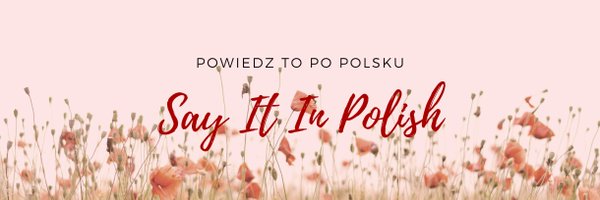 SayIt_InPolish Profile Banner
