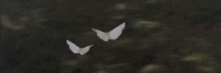 Luixi 🌻 banner