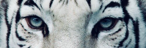 Richard_Rs12_'s profile banner image
