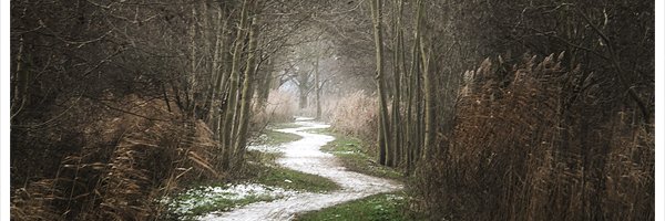 charlesbotts3's profile banner image