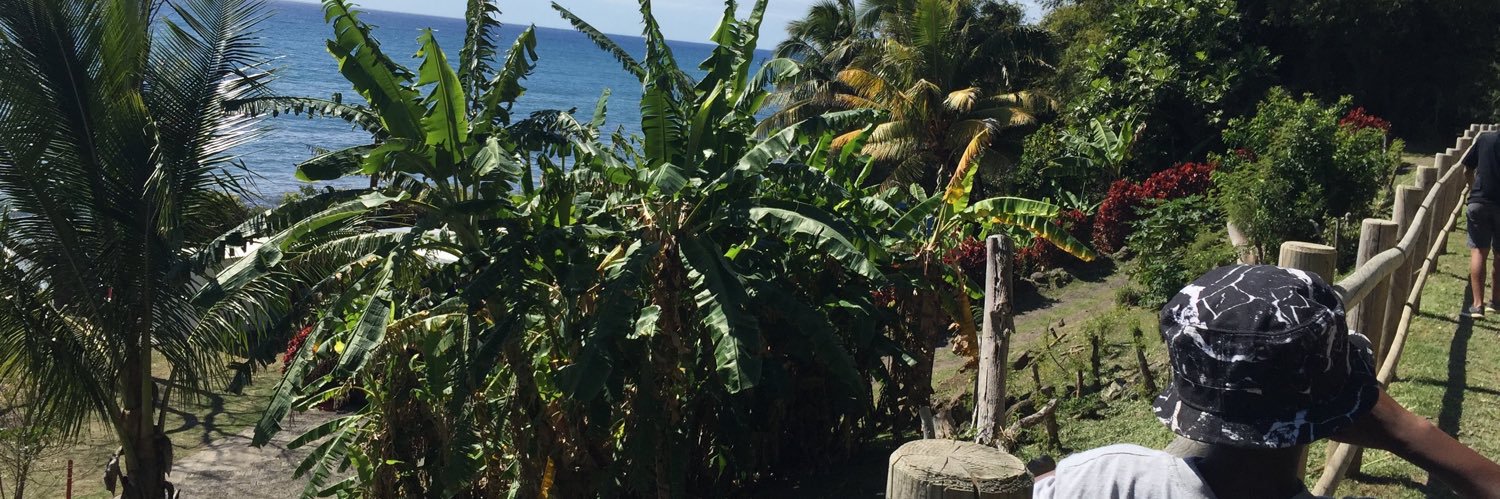 lily_Lunique's profile banner image