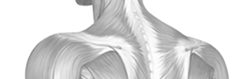 RyanmRMT's profile banner image