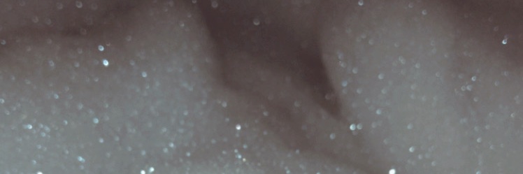 GiuliSpagnesi's profile banner image