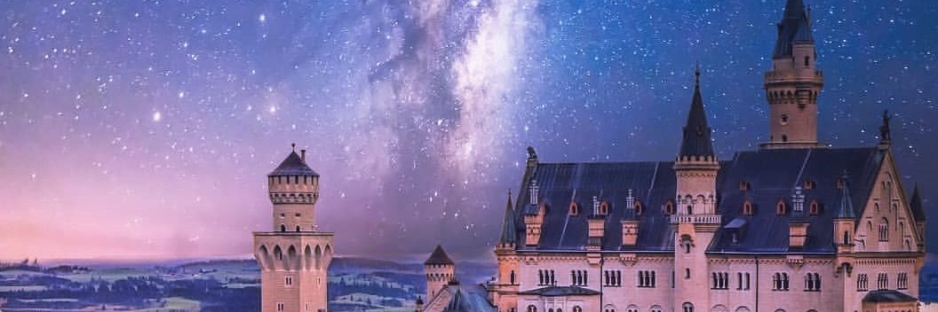 chickadee 🌙 banner