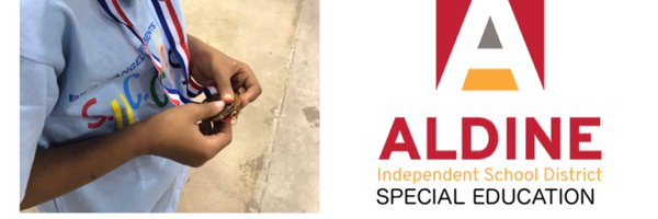 aldinesped Profile Banner