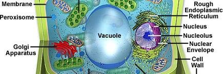 CentralVac1's profile banner image