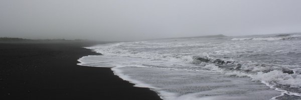 pscepanovic Profile Banner