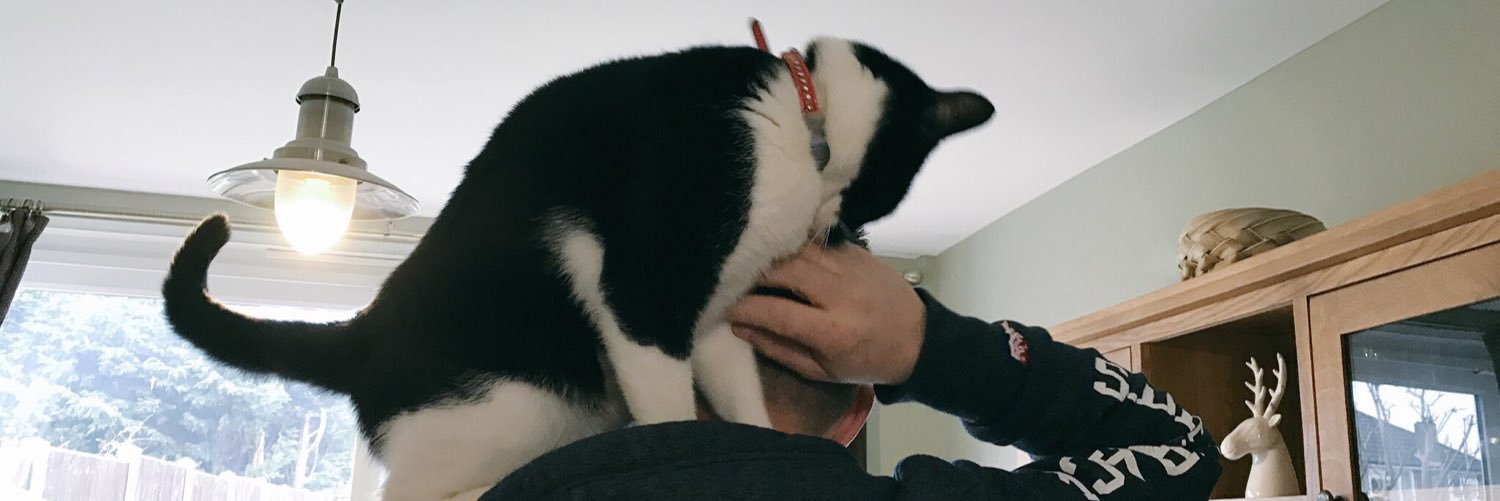 fatdizzy's profile banner image