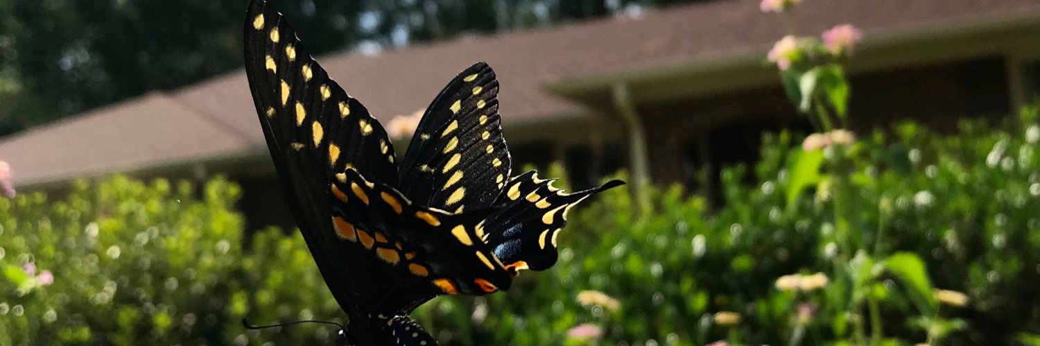 annabethers13's profile banner image
