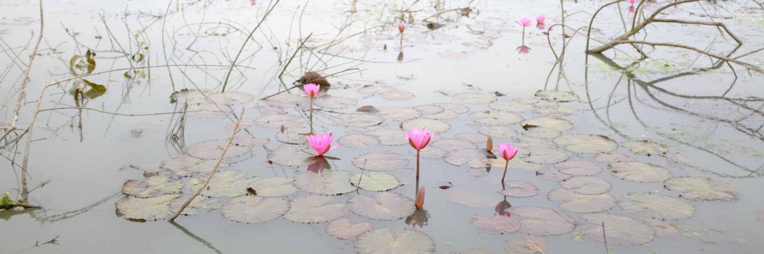 Komal Chamling banner