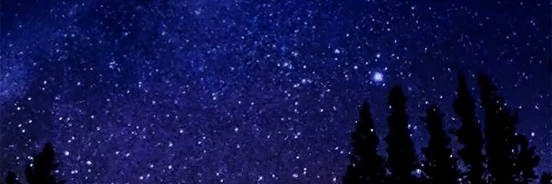 sadbutmal's profile banner image