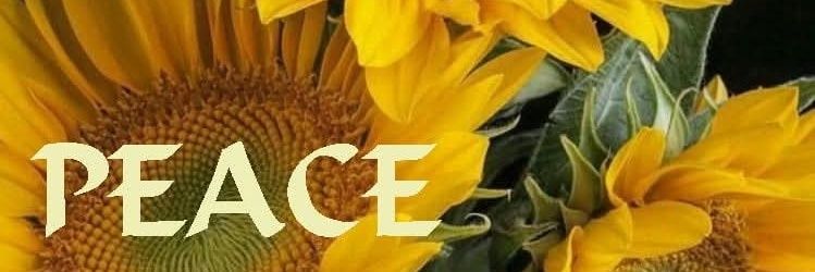 thickd2🇨🇦🇺🇦 banner