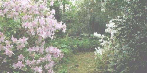 rtmyweth's profile banner image