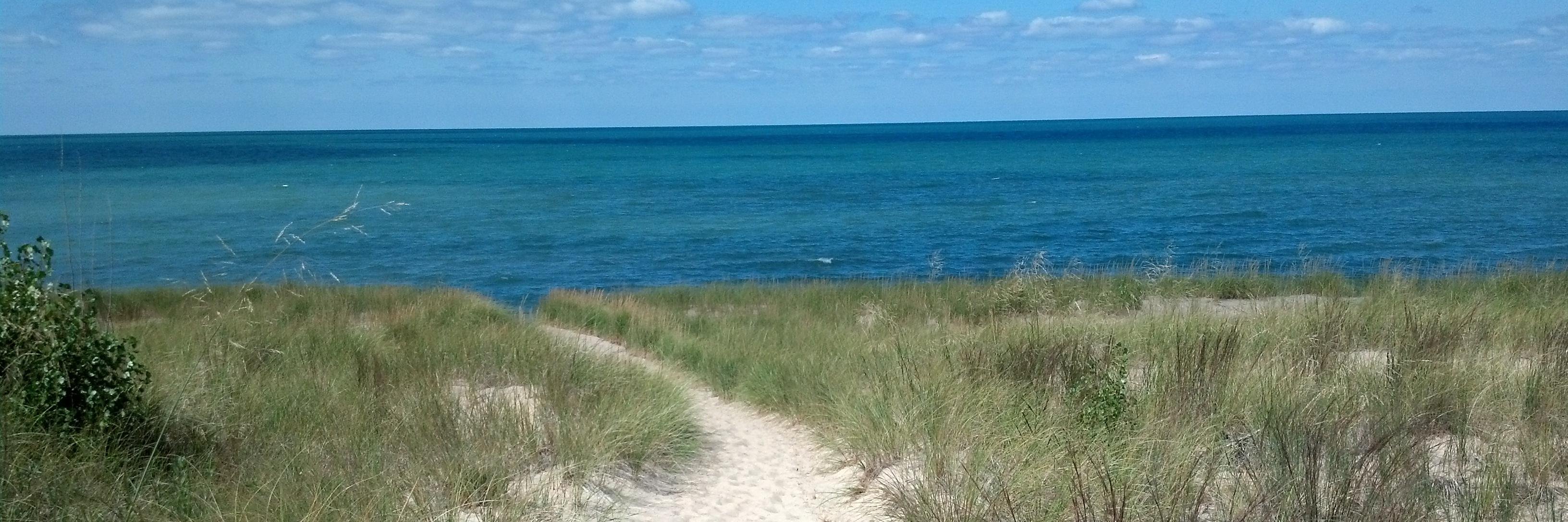 Katie O'Reilly banner