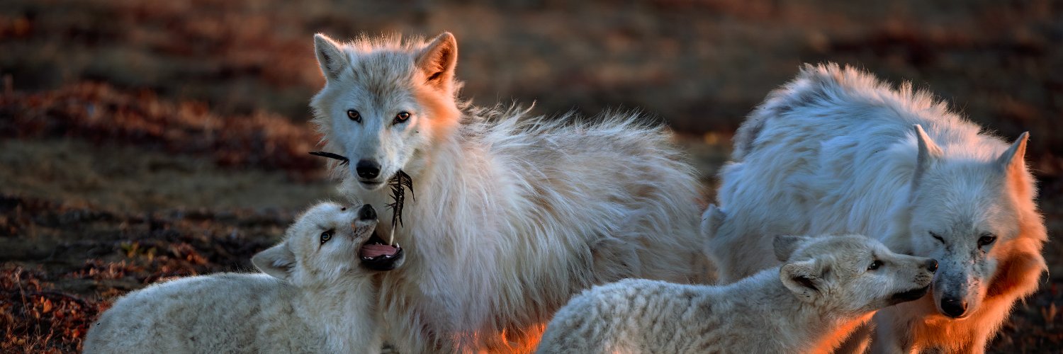 High Desert Museum banner