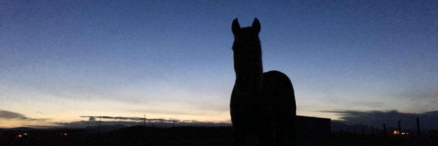 erinmhess's profile banner image