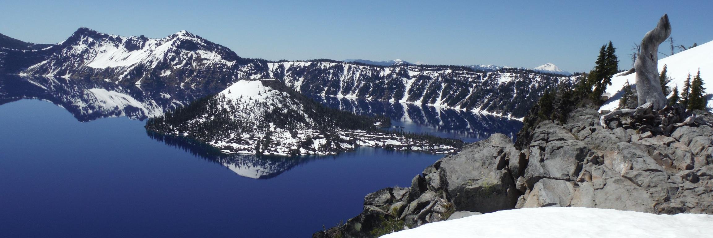 Gabriel Singer, PhD banner