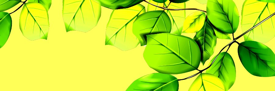 decerica's profile banner image