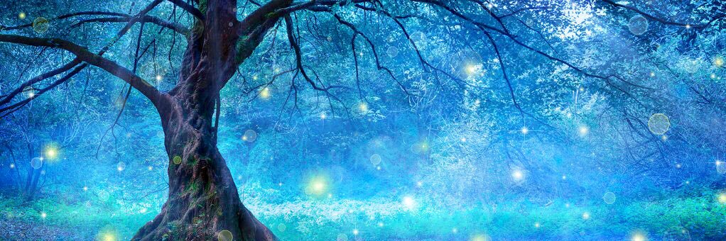 SuziQuetweets's profile banner image
