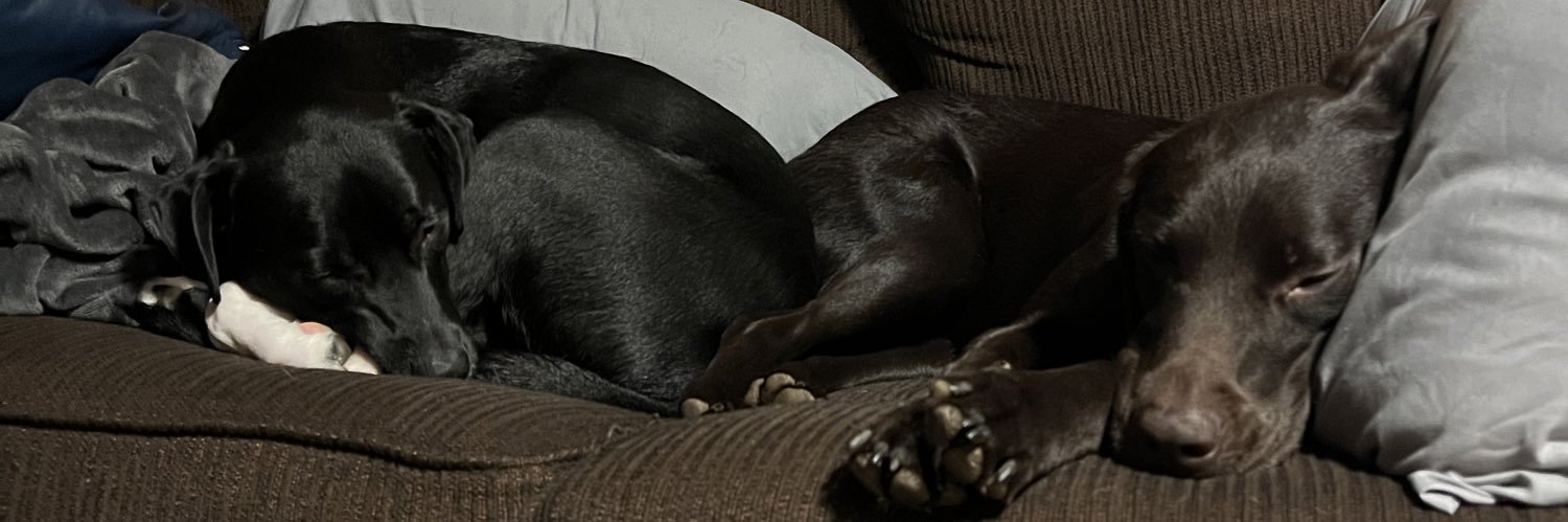 GroesserTreyvin's profile banner image