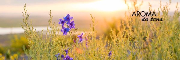 aromadaterra Profile Banner