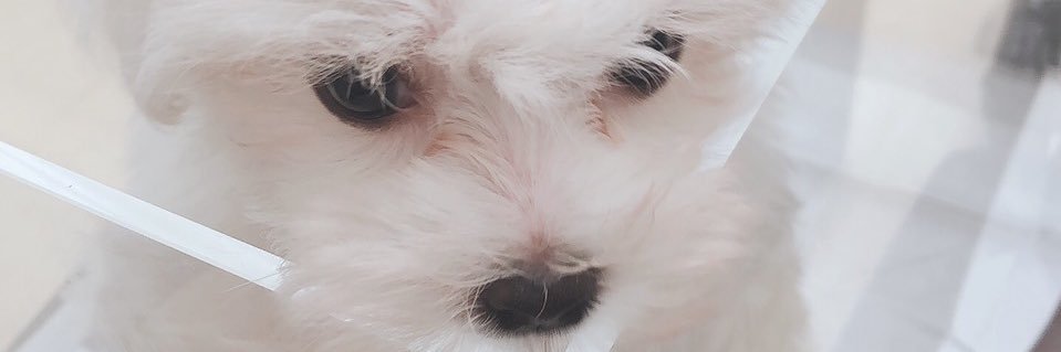 yrmny0711's profile banner image