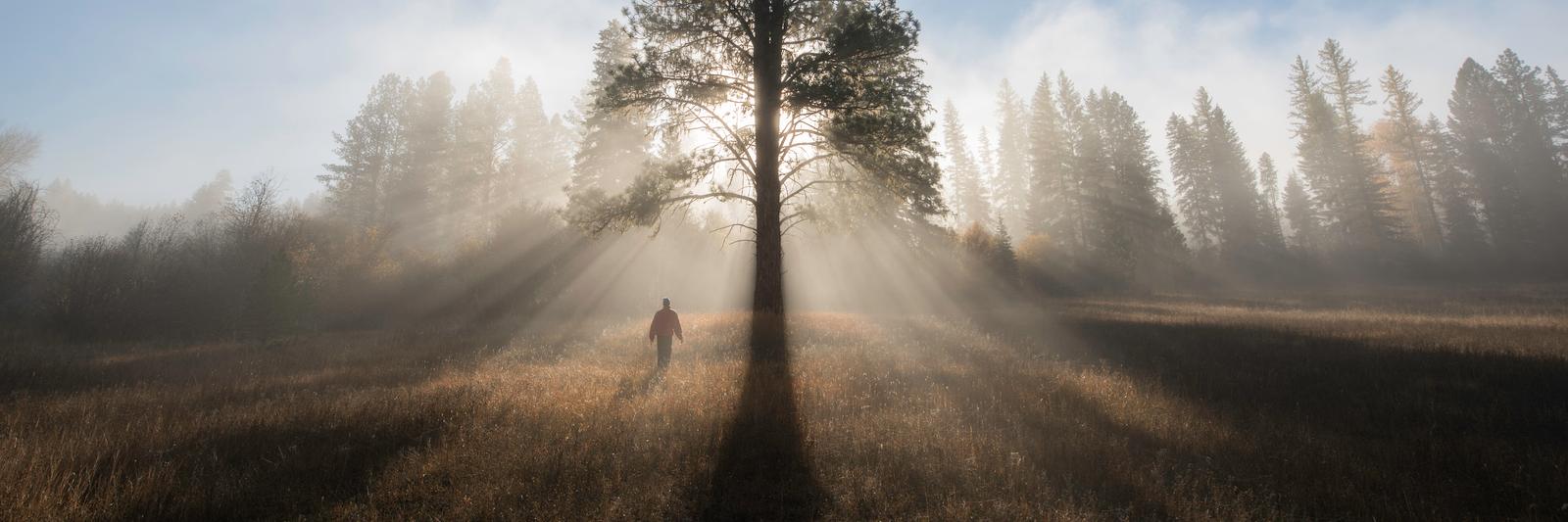 TNC in Montana banner