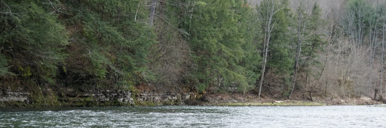 grantforney's profile banner image