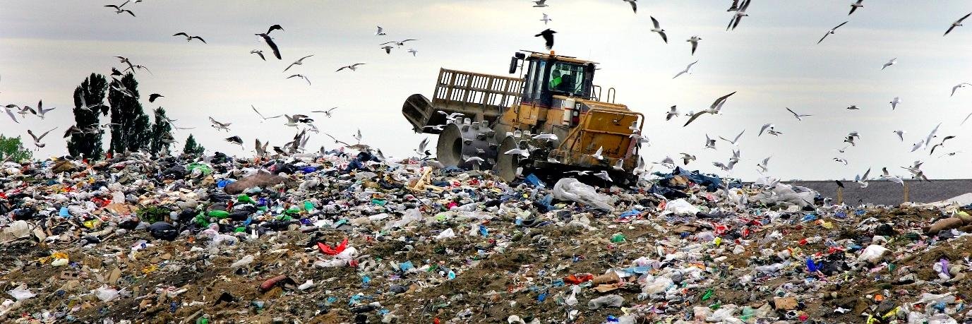 Clean Bin Project banner