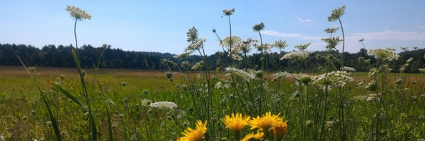 JellyKind Profile Banner