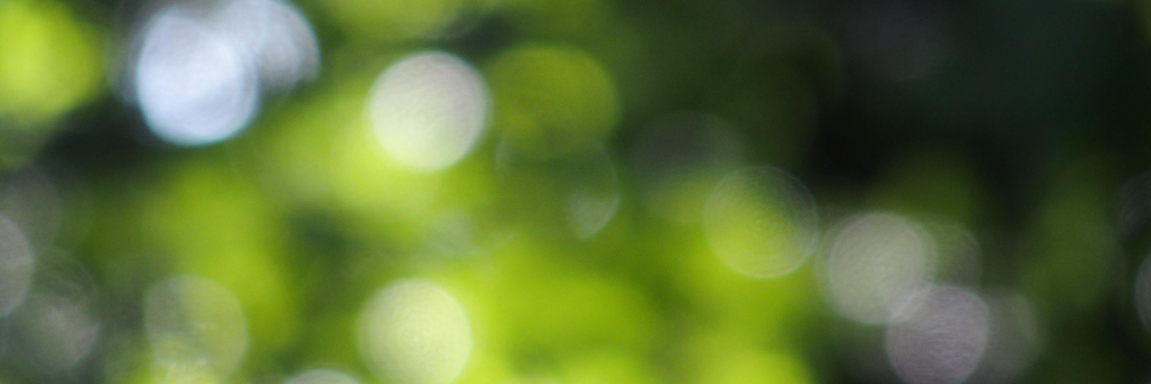 smkinzer's profile banner image
